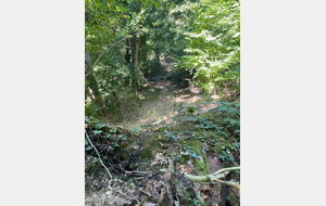 Très belle fin de saison extérieure pour Xavier au championnat de France Tir en campagne !