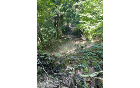 Très belle fin de saison extérieure pour Xavier au championnat de France Tir en campagne !